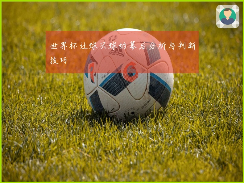 世界杯让球买球的幕后分析与判断技巧