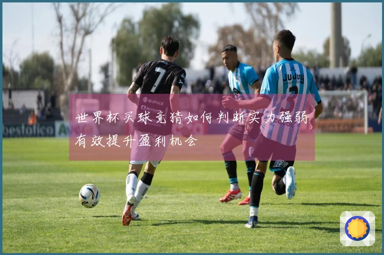 世界杯买球竞猜如何判断实力强弱有效提升盈利机会