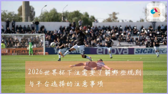 2026世界杯下注需要了解哪些规则与平台选择的注意事项