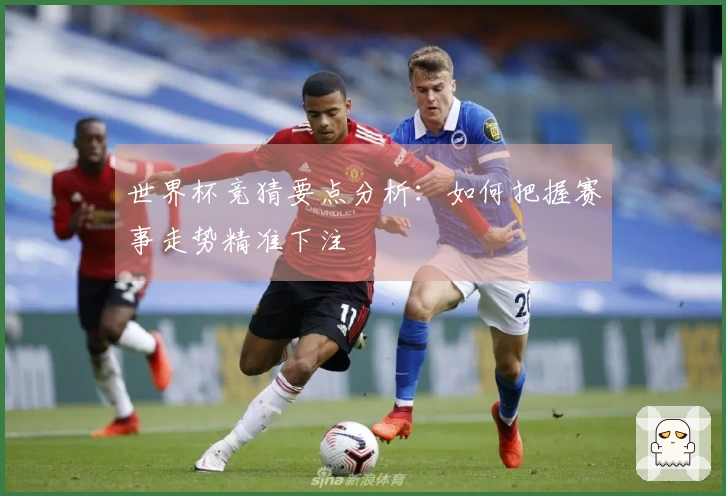 世界杯竞猜要点分析：如何把握赛事走势精准下注